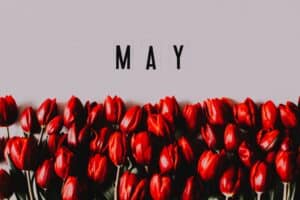 month of may may background calendar 2023 11 27 05 21 56 utc